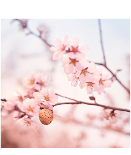 ACEITE PARA MASAJE PERINEAL MUM