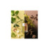 AGUAS FLORALES Nº1 AZAHAR RADIANTE