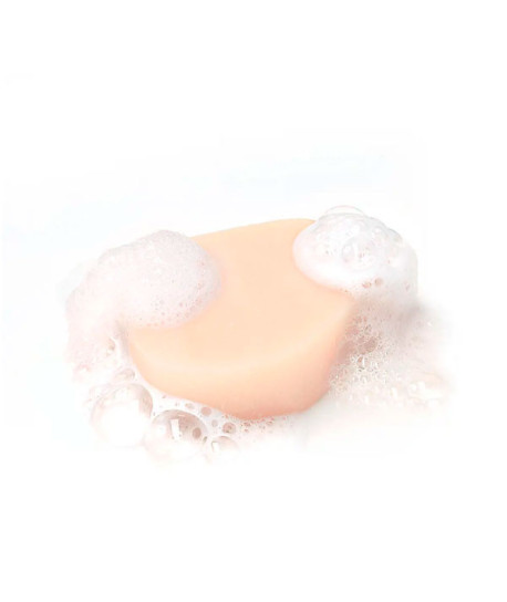 CHAMPÚ SÓLIDO DÉLICATESSE DE AVENA