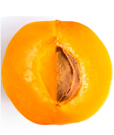 LION KING ULTRA SUAVE CHAMPÚ NIÑOS 2 EN 1 ALBARICOQUE