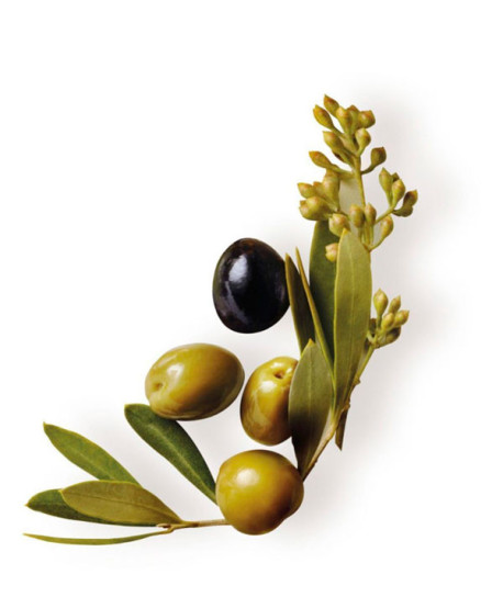 ORIGINAL REMEDIES ACEITE EN CREMA SIN ACLARADO OILVA