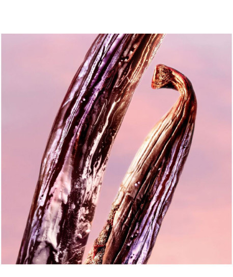 LA VIE EST BELLE VANILLE NUDE