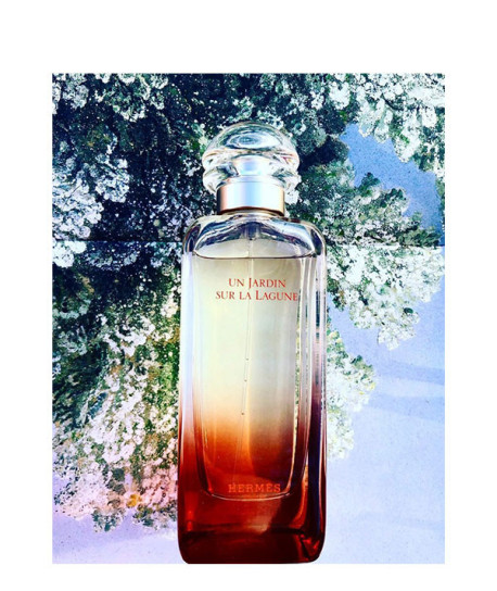 UN JARDIN SUR LA LAGUNE