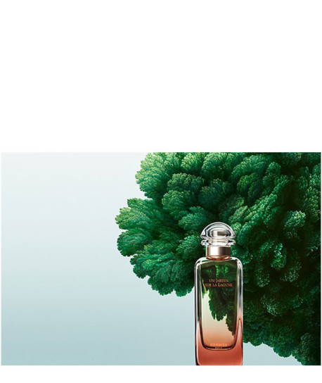 UN JARDIN SUR LA LAGUNE