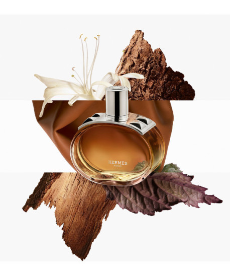 BARÉNIA INTENSE