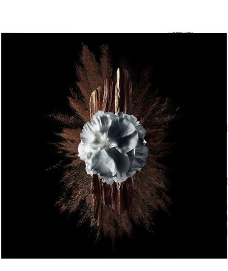 GENTLEMAN SOCIETY EXTREME