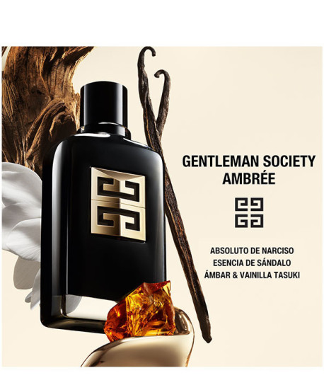 GENTLEMAN SOCIETY AMBRÉE