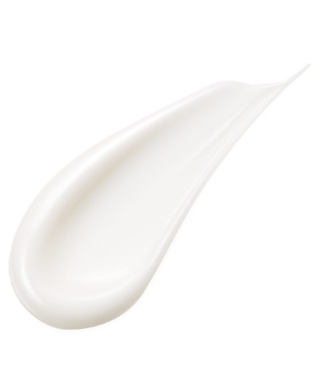 ABSOLUTE SILK ILLUMINATIVE CREAM