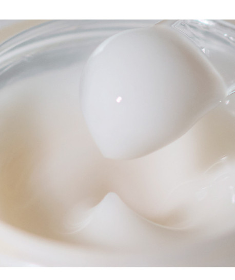ABSOLUTE SILK ILLUMINATIVE CREAM