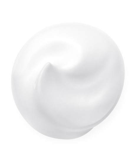 ABSOLUTE SILK MICRO MOUSSE WASH