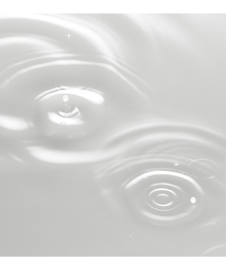 ABSOLUTE SILK MICRO ESSENCE-IN-LOTION