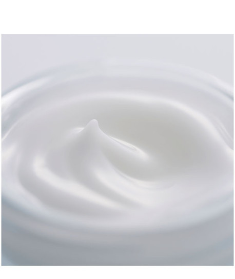 CELLULAR PERFORMANCE FRESH CREAM