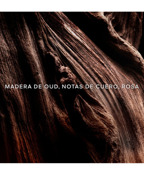 ABSOLUS ALLEGORIA OUD ESSENTIEL