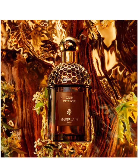 ABSOLUS ALLEGORIA CUIR INTENSE