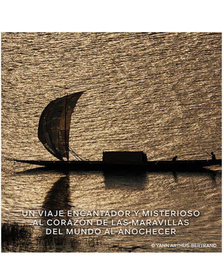 ABSOLUS ALLEGORIA CUIR INTENSE