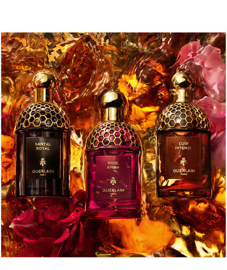 ABSOLUS ALLEGORIA CUIR INTENSE