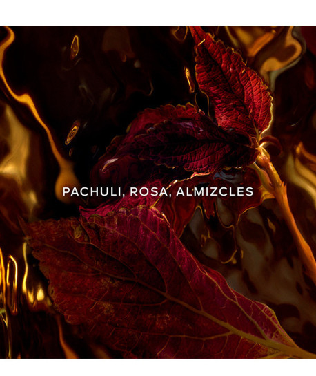 ABSOLUS ALLEGORIA PATCHOULI ARDENT