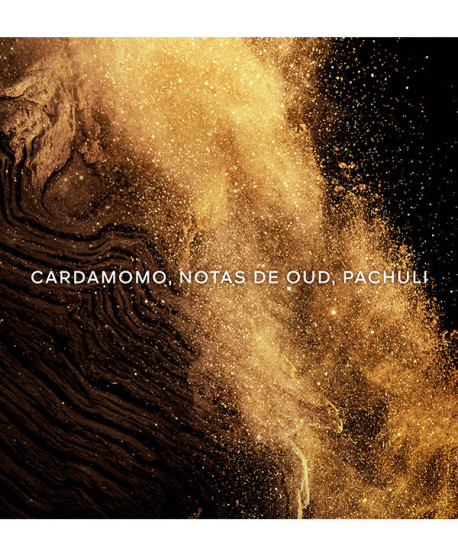 ABSOLUS ALLEGORIA EPICES EXQUISES