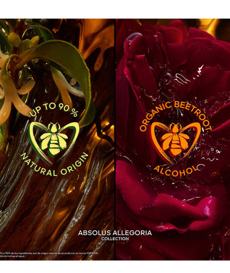 ABSOLUS ALLEGORIA EPICES EXQUISES