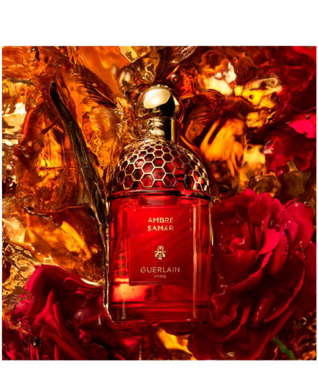 ABSOLUS ALLEGORIA AMBRE SAMAR