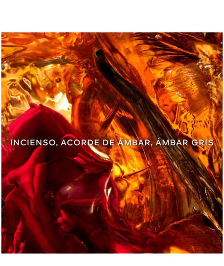 ABSOLUS ALLEGORIA AMBRE SAMAR