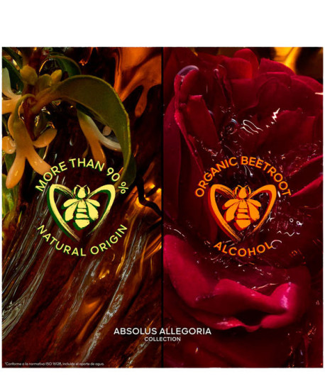 ABSOLUS ALLEGORIA AMBRE SAMAR