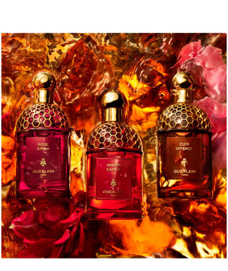 ABSOLUS ALLEGORIA AMBRE SAMAR