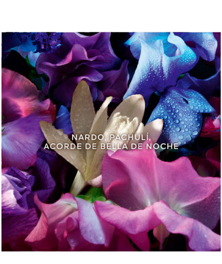 ABSOLUS ALLEGORIA FLORABLOOM