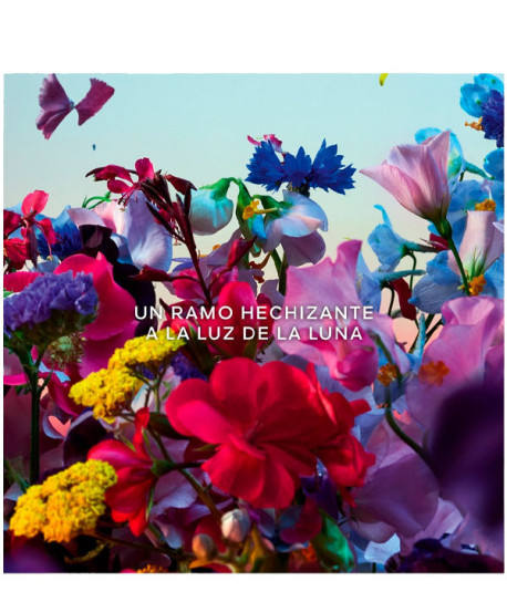 ABSOLUS ALLEGORIA FLORABLOOM