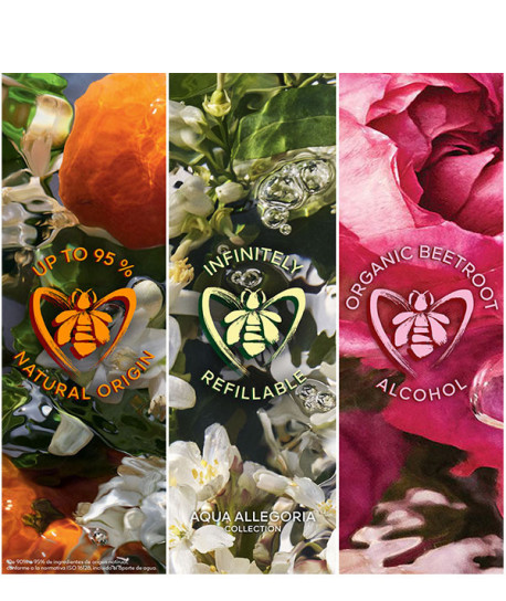 AQUA ALLEGORIA ROSA VERDE