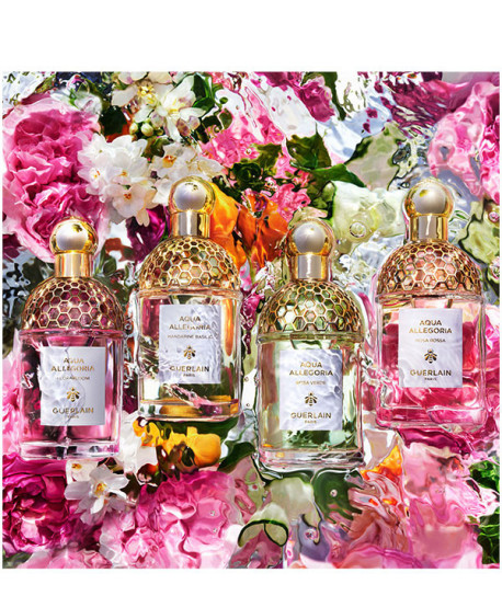 AQUA ALLEGORIA ROSA VERDE