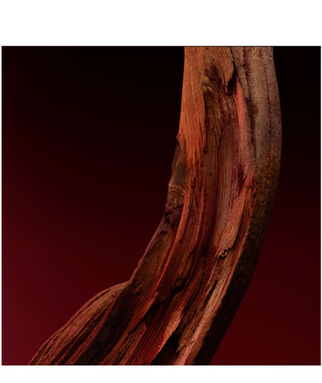 BOSS SCENT ELIXIR HIM