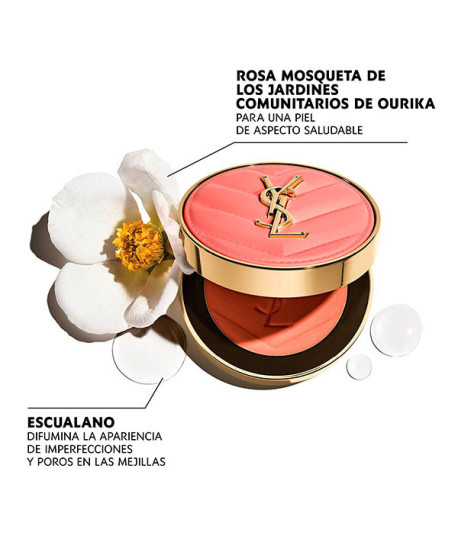 MAKE ME BLUSH BOLD BLURRING BLUSH