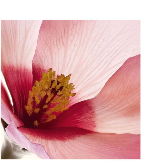 SÉRUM CORPS PEAU NEUVE