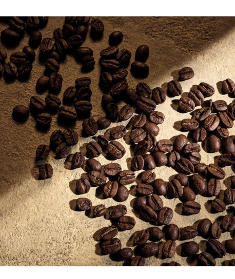 DEVOTION FOR MEN PARFUM