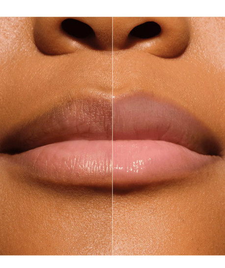 MELT & PLUMP JUICY LIP PUMPLER