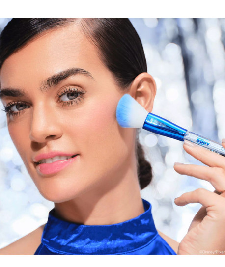 BUSCANDO A DORY BROCHA COLORETE