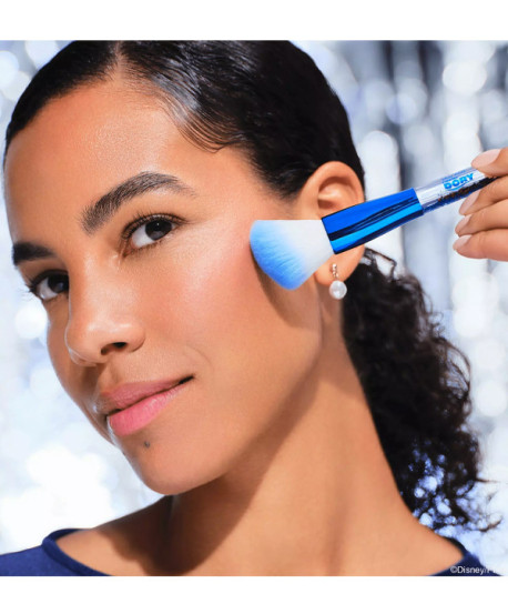 BUSCANDO A DORY BROCHA COLORETE