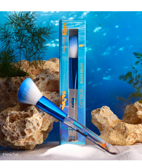 BUSCANDO A DORY BROCHA COLORETE