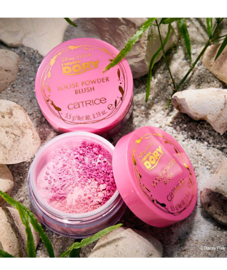 BUSCANDO A DORY BLUSH POWDER BLUSH