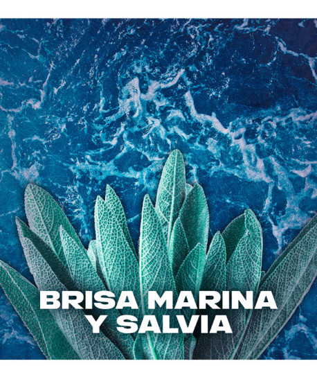 AXE MARINE DESODORANTE