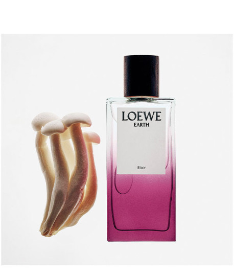 LOEWE EARTH ELIXIR