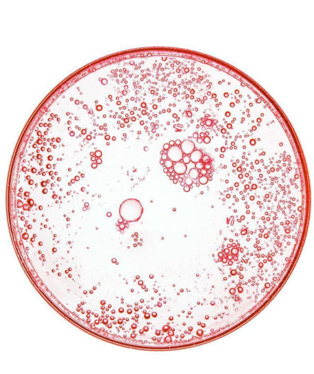 REVITALIFT LASER SPF25