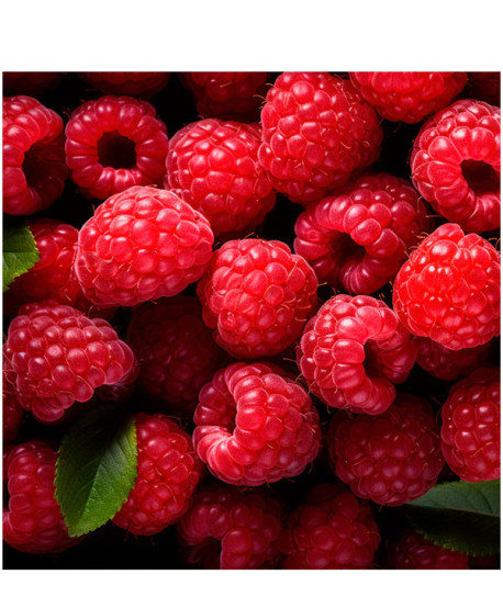 GEL DE DUCHA FRUTOS ROJOS