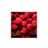 GEL DE DUCHA FRUTOS ROJOS