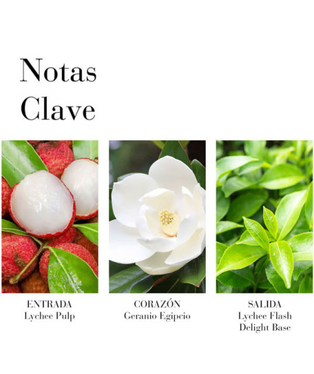 GREEN TEA LYCHEE LIME