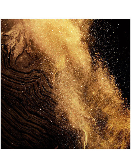 LES ABSOLUS D'ORIENT EPICES EXQUISES