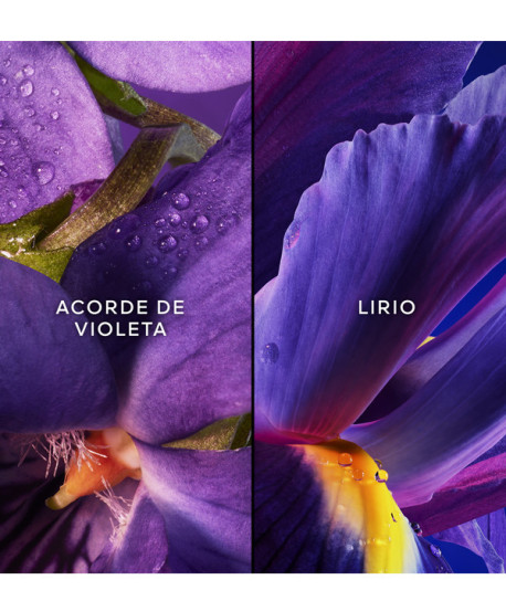 INSOLENCE EAU DE PARFUM ESTUCHE