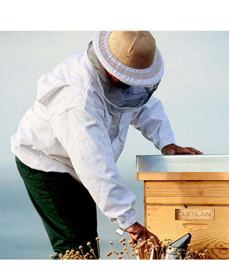 ABEILLE ROYALE MASCARILLA CATAPLASMA