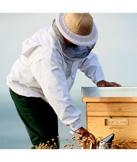 ABEILLE ROYALE BÁLSAMO REPARADOR DE MANOS